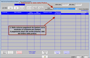 gestionale pratiche auto